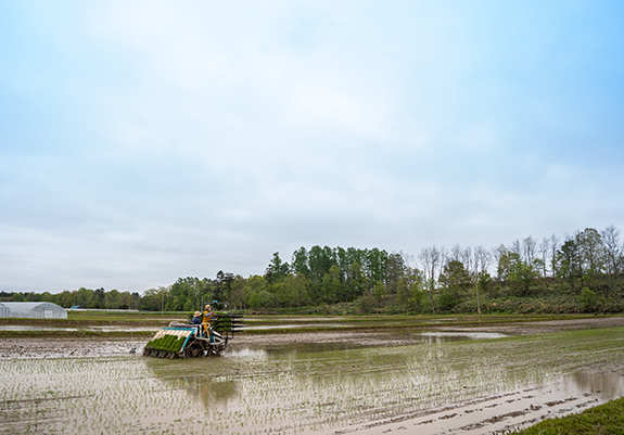 つきがたFARMについて